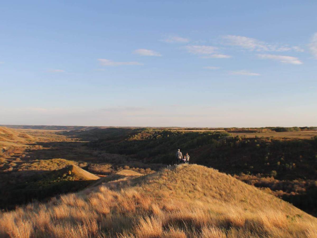 Soaring on the Wings of the&nbsp;Wind